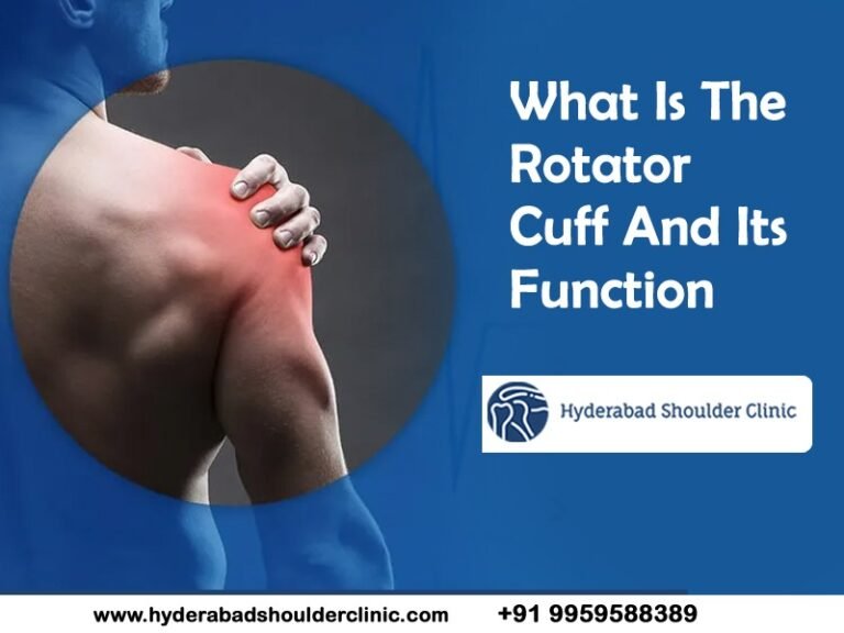 What Is The Rotator Cuff And Its Function