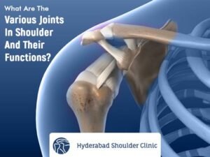 Read more about the article What Are The Various Joints In Shoulder And Their Functions?