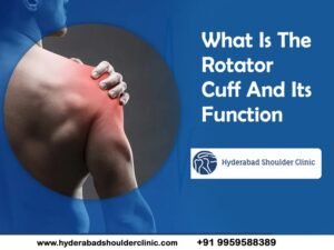 Read more about the article What Is The Rotator Cuff And Its Function