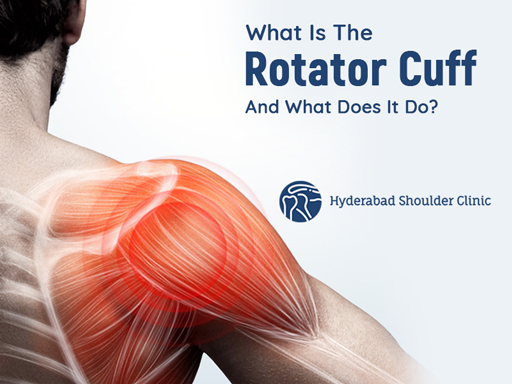 You are currently viewing What is the rotator cuff, and what does it do?